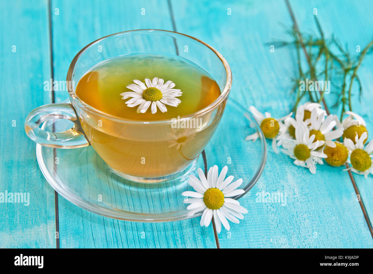 La camomilla blu sulla superficie di legno. La camomilla. Foto Stock