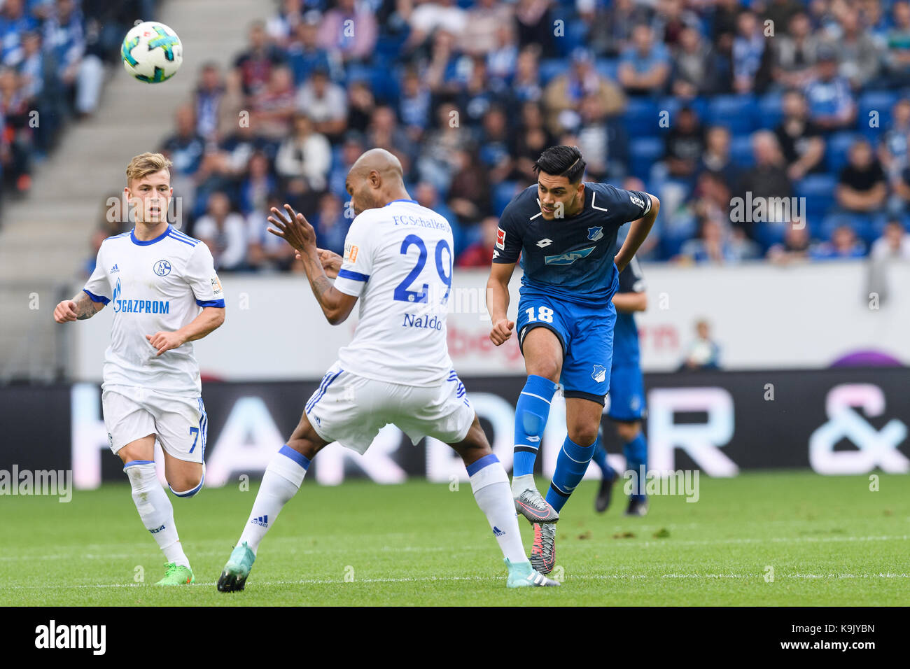 Sinsheim, Deutschland. 23 Sep, 2017. nadiem amiri (hoffenheim)n im zweikampf mit naldo (S04). Ges/ fussball/ 1. bundesliga: tsg 1899 hoffenheim - FC Schalke 04, 23.09.2017 -- calcio/ soccer 1° Divisione: tsg 1899 hoffenheim vs FC Schalke 04, Sinsheim, 23 settembre 2017 -- | verwendung weltweit credito: dpa/alamy live news Foto Stock