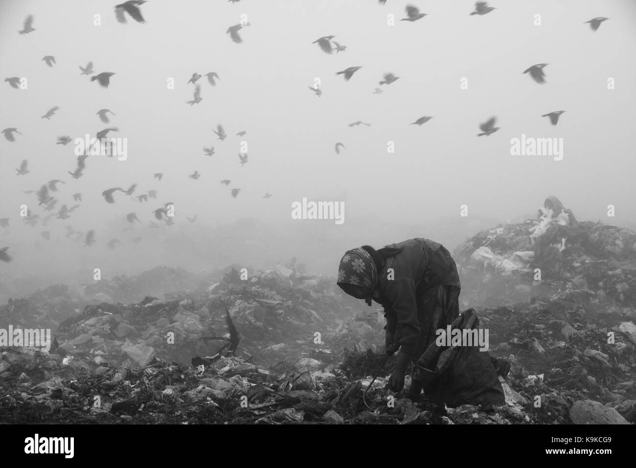 La vita in una terra desolata di nomadi che vivono raccogliendo rifiuti riciclabili materiali come plastica, vetri rotti, carte, ecc. Foto Stock