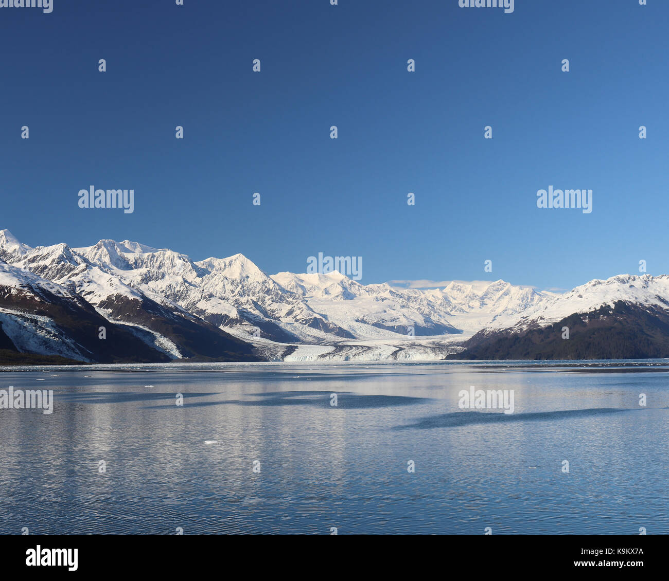 Alla fine del college fjord in Alaska è Prince William Sound, circondato da tidewater ghiacciai che si estende verso il basso al di fuori del chugach mountain range. Foto Stock