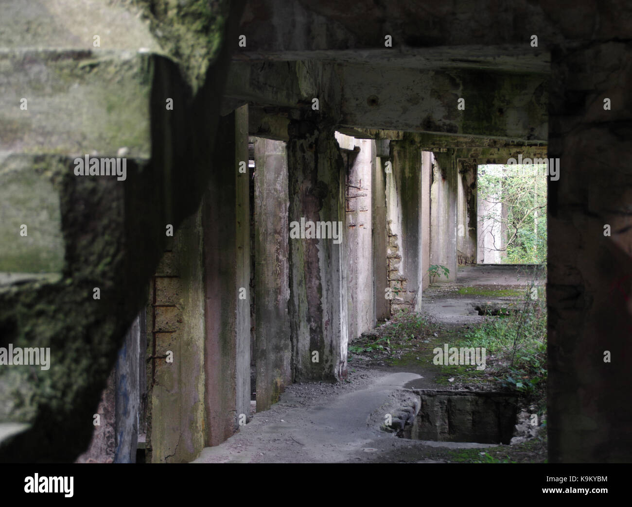 Detriti e macerie e danneggiato costruzione in cemento. la seconda guerra mondiale le rovine. Foto Stock