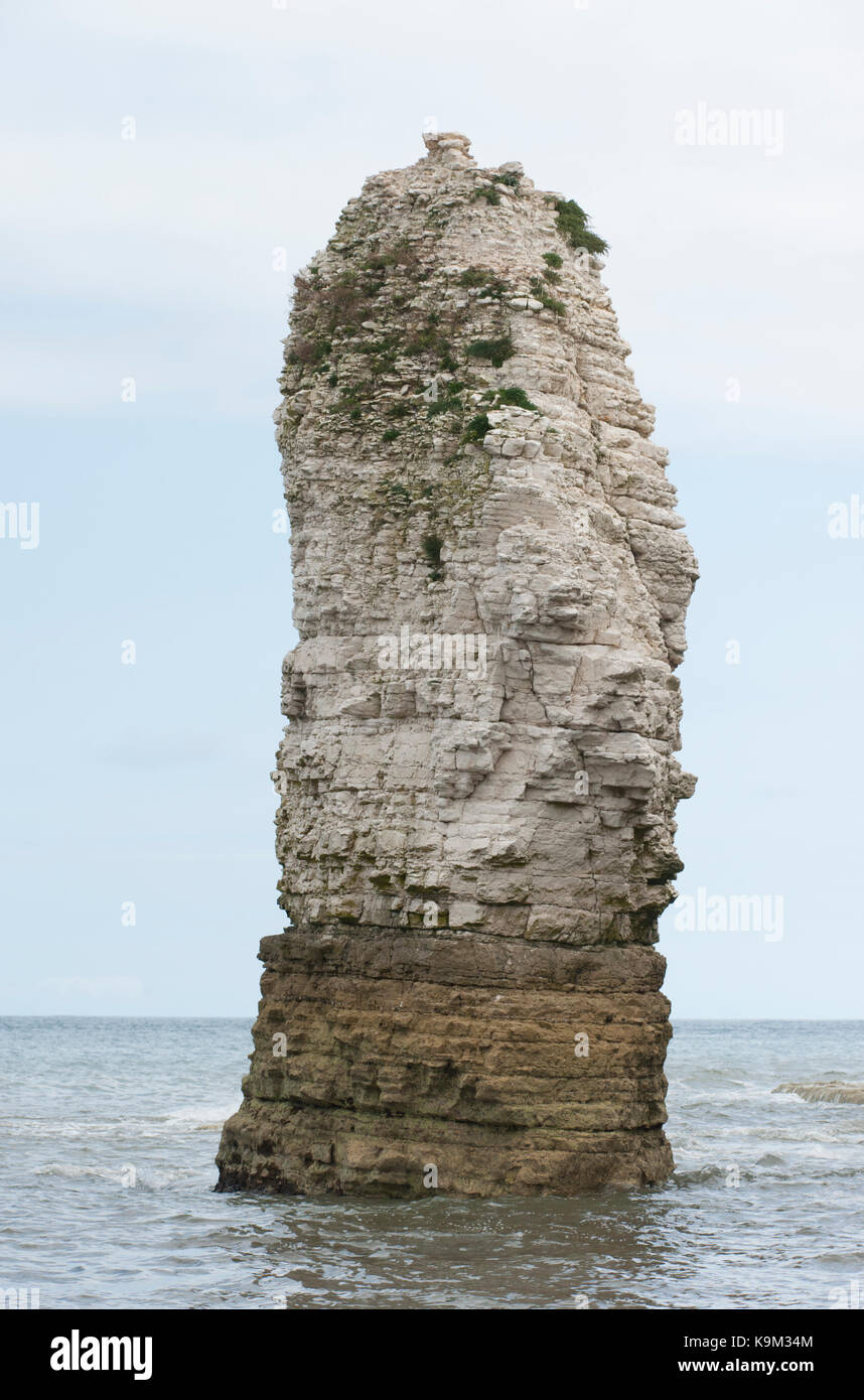 Chalk stack, Flamborough Head, Yorkshire costa, isole britanniche, Regno Unito Foto Stock
