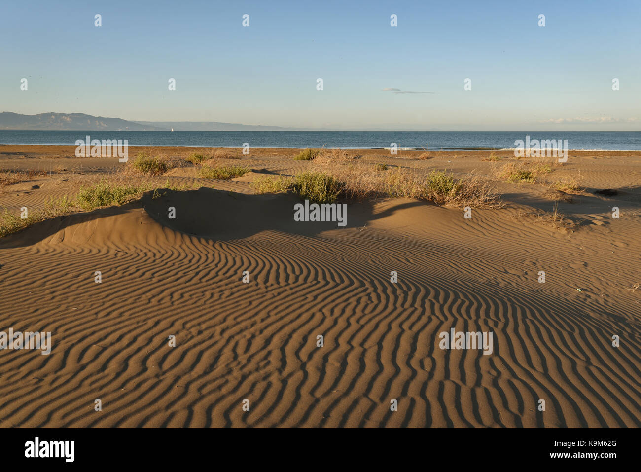 Le dune di sabbia e il mare, il delta del fiume Ebro, Spagna Foto Stock