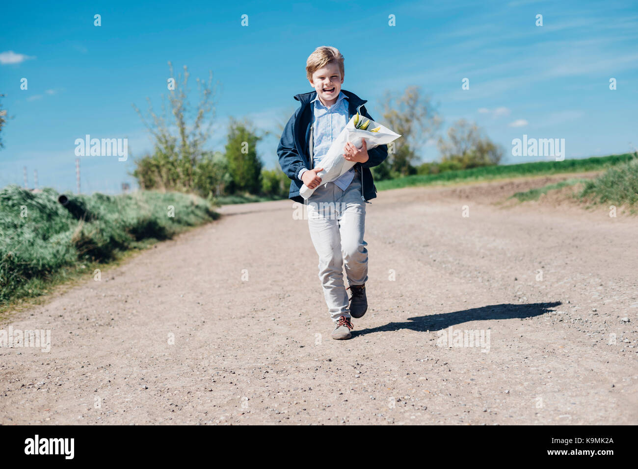 Sassonia-anhalt, Deutschland, Tulpenfelder, Tulpen, Blumen, Landwirtschaft, Magdeburger Börde, Schwaneberg Foto Stock