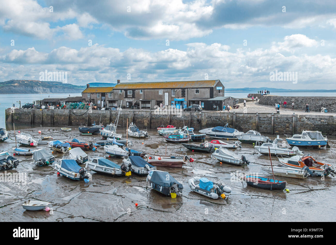 Lyme Regis Harbour su la costa del Dorset Foto Stock
