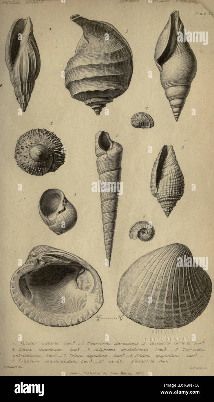 Principi di geologia BHL34710281 Foto Stock