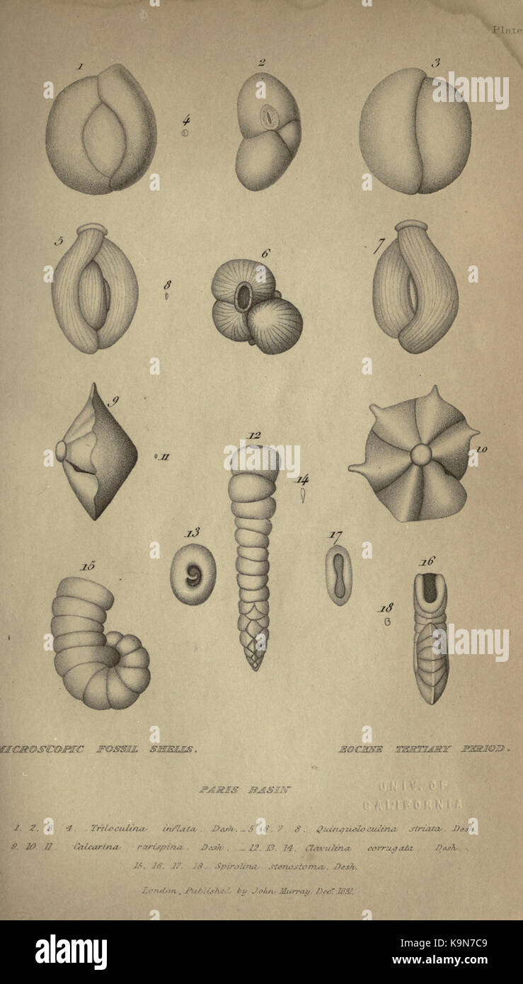 Principi di geologia BHL34710283 Foto Stock