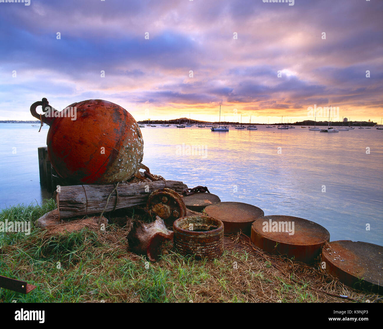 La Nuova Zelanda. Auckland. Northcote. Arrugginimento bouy sul lungomare all'alba. Foto Stock