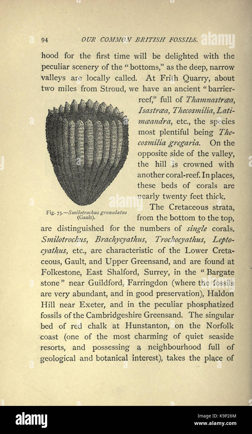 Questa pagina di "Our Common British Fossils" (i nostri comuni fossili britannici) fornisce informazioni sull'identificazione e la localizzazione di vari fossili trovati in tutta la Gran Bretagna, offrendo informazioni sulla paleontologia e sulla caccia ai fossili. Foto Stock