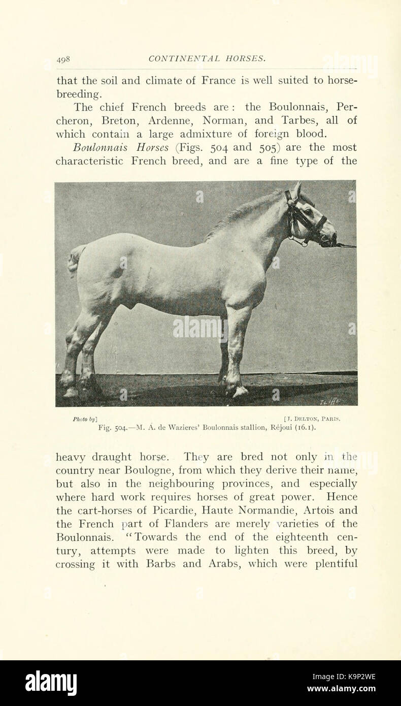 Punti di cavallo (pagina 498) BHL9407052 Foto Stock