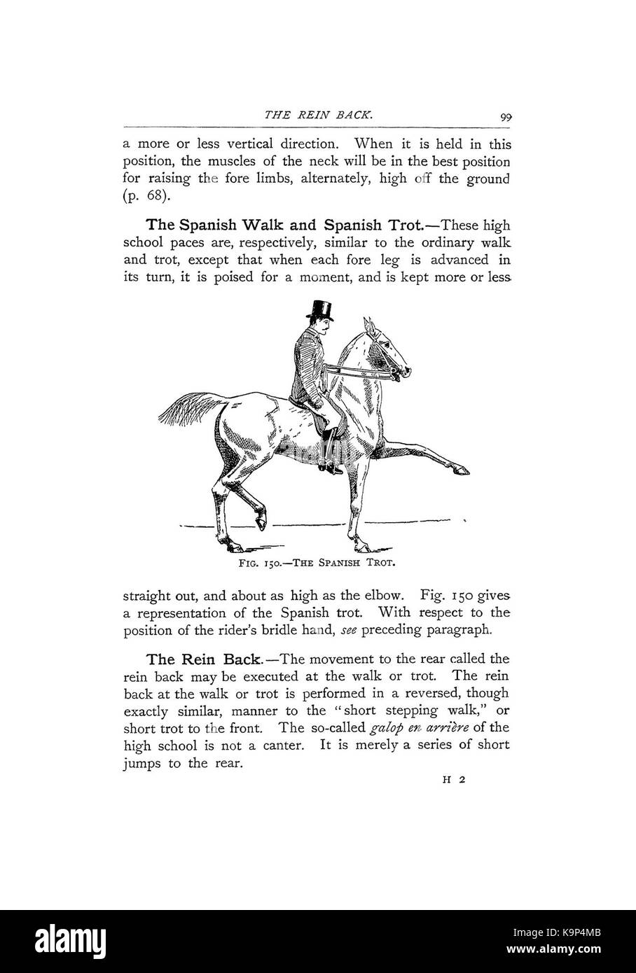Punti del cavallo (pagina 99) BHL42451578 Foto Stock