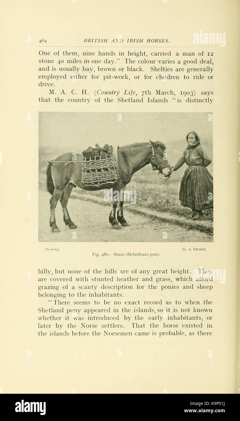 Punti di cavallo (pagina 464) BHL21343288 Foto Stock