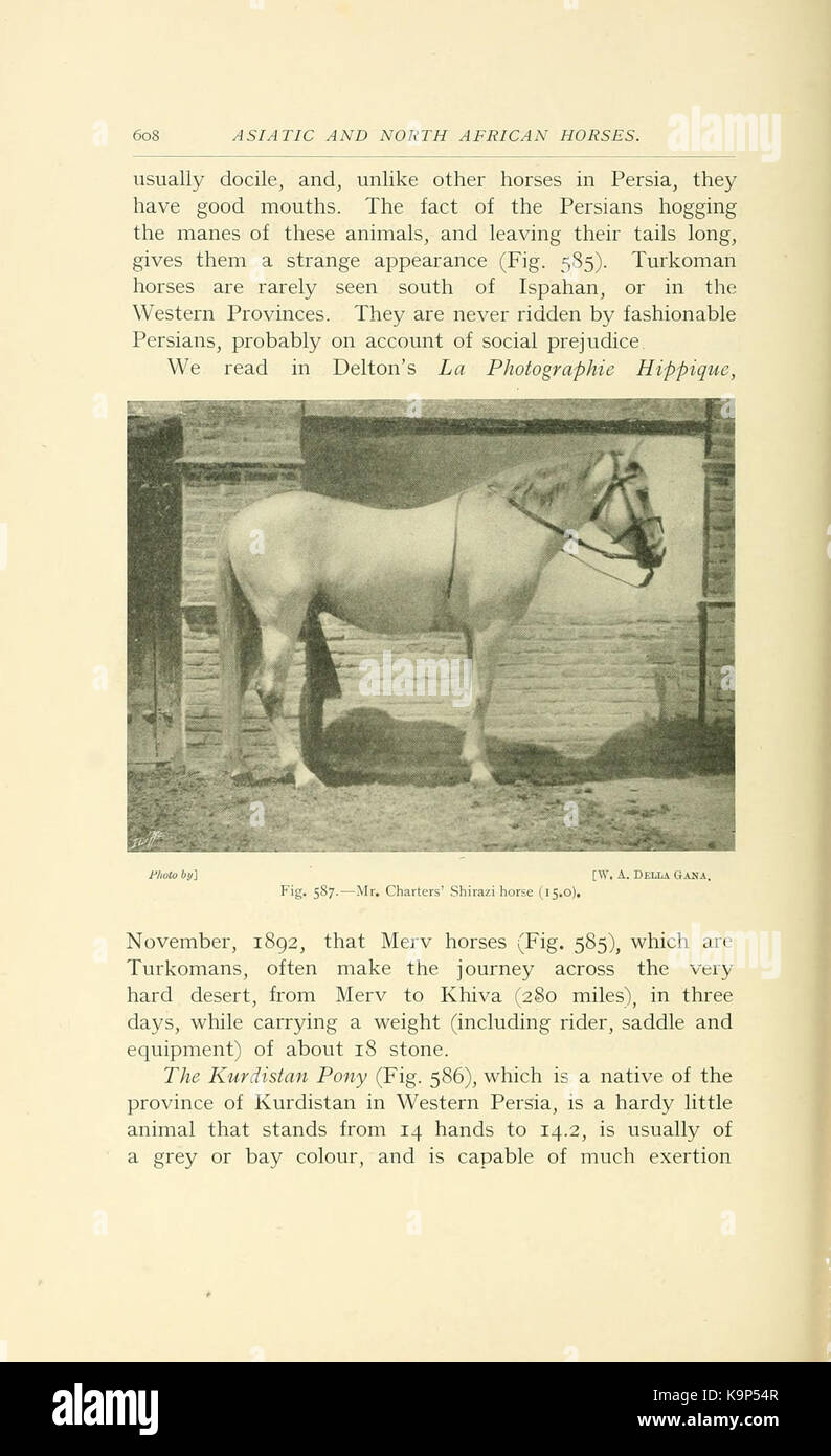 Punti di cavallo (pagina 608) BHL21343432 Foto Stock