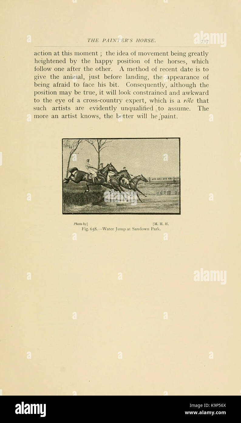 Punti di cavallo (pagina 717) BHL21343541 Foto Stock