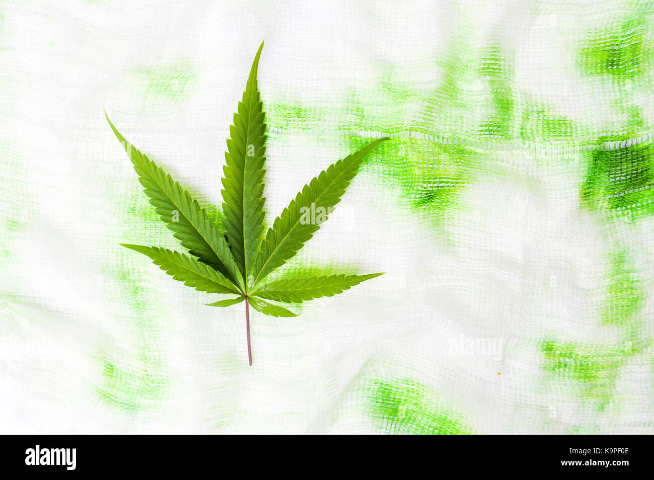 La marijuana foglia verde sul colorato sfondo tessili Foto Stock