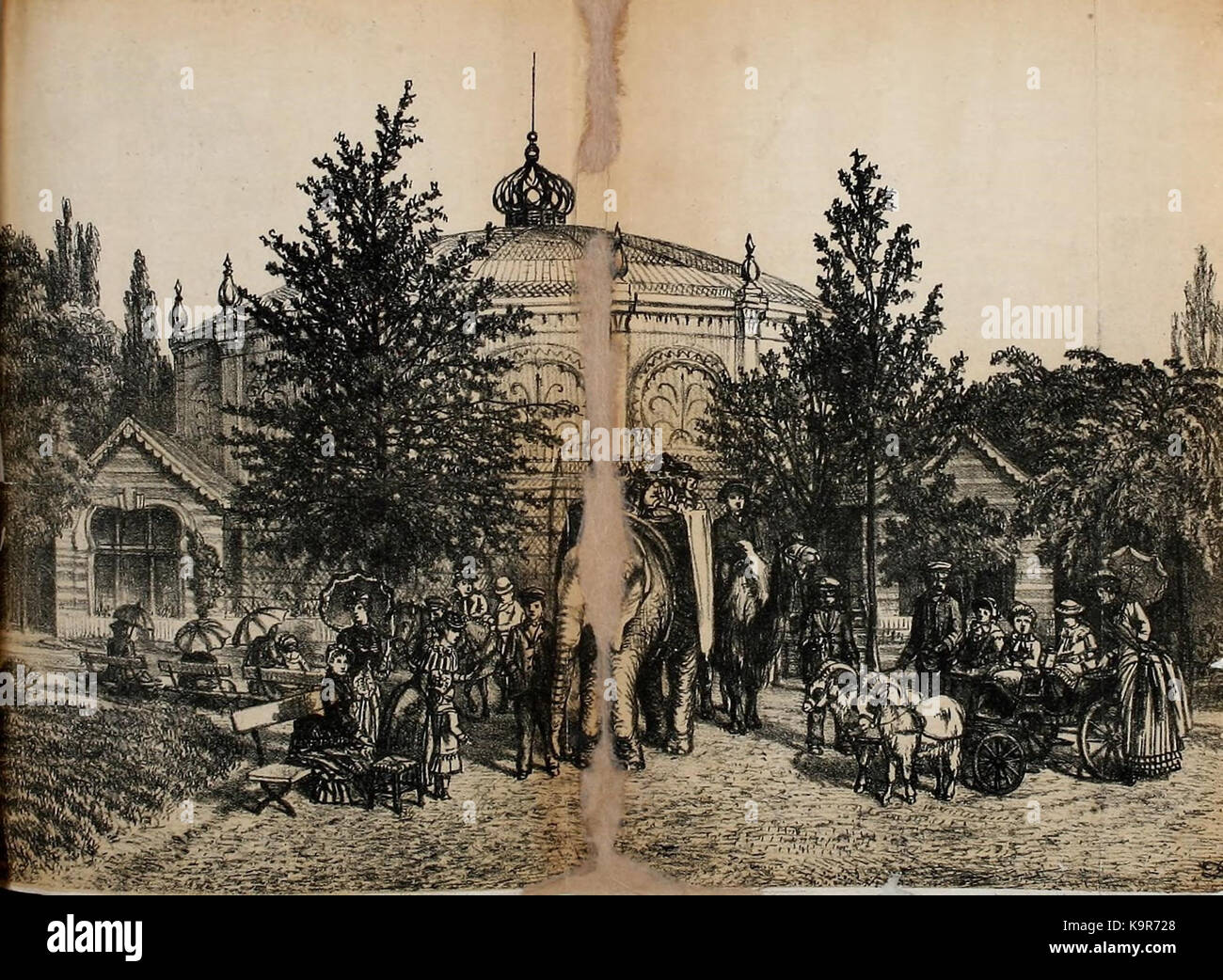 Promenade au jardin zoologique d'Anvers (Pl. 15) (8559065167) Foto Stock