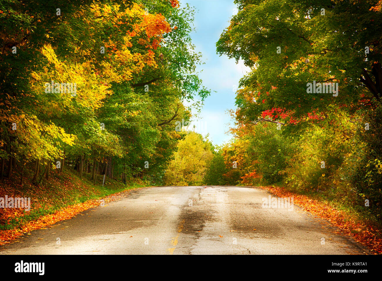 Bellissimo paesaggio autunnale con il trasporto su strada e splendidi alberi colorati Foto Stock