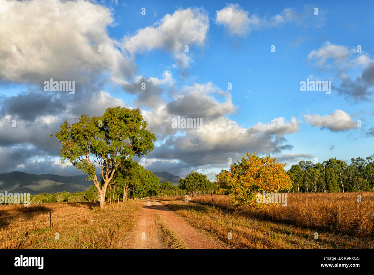 Vista del Monte Carbine campagna, lontano Nord Queensland, FNQ, QLD, Australia Foto Stock
