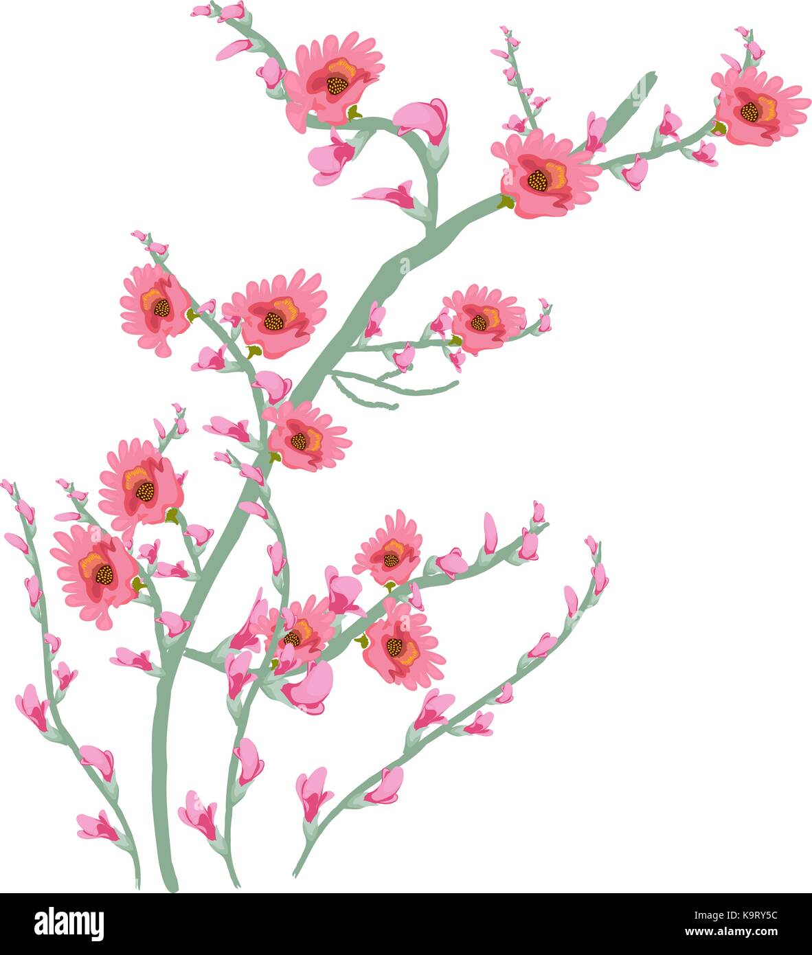 Arte floreale pittura ad acquerello flower pink Illustrazione Vettoriale