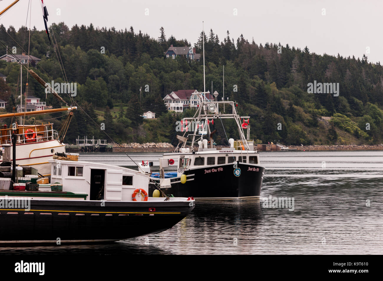 Fondata nel 1753 lunenburg, Nova Scotia, Canada è designato come sito patrimonio mondiale dell'unesco come pure un sito storico nazionale del Canada. Foto Stock