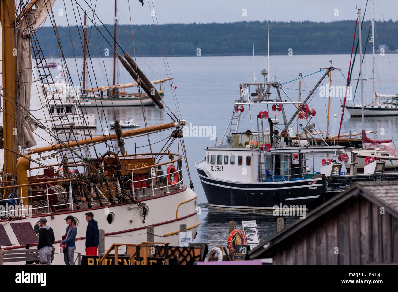 Fondata nel 1753 lunenburg, Nova Scotia, Canada è designato come sito patrimonio mondiale dell'unesco come pure un sito storico nazionale del Canada. Foto Stock