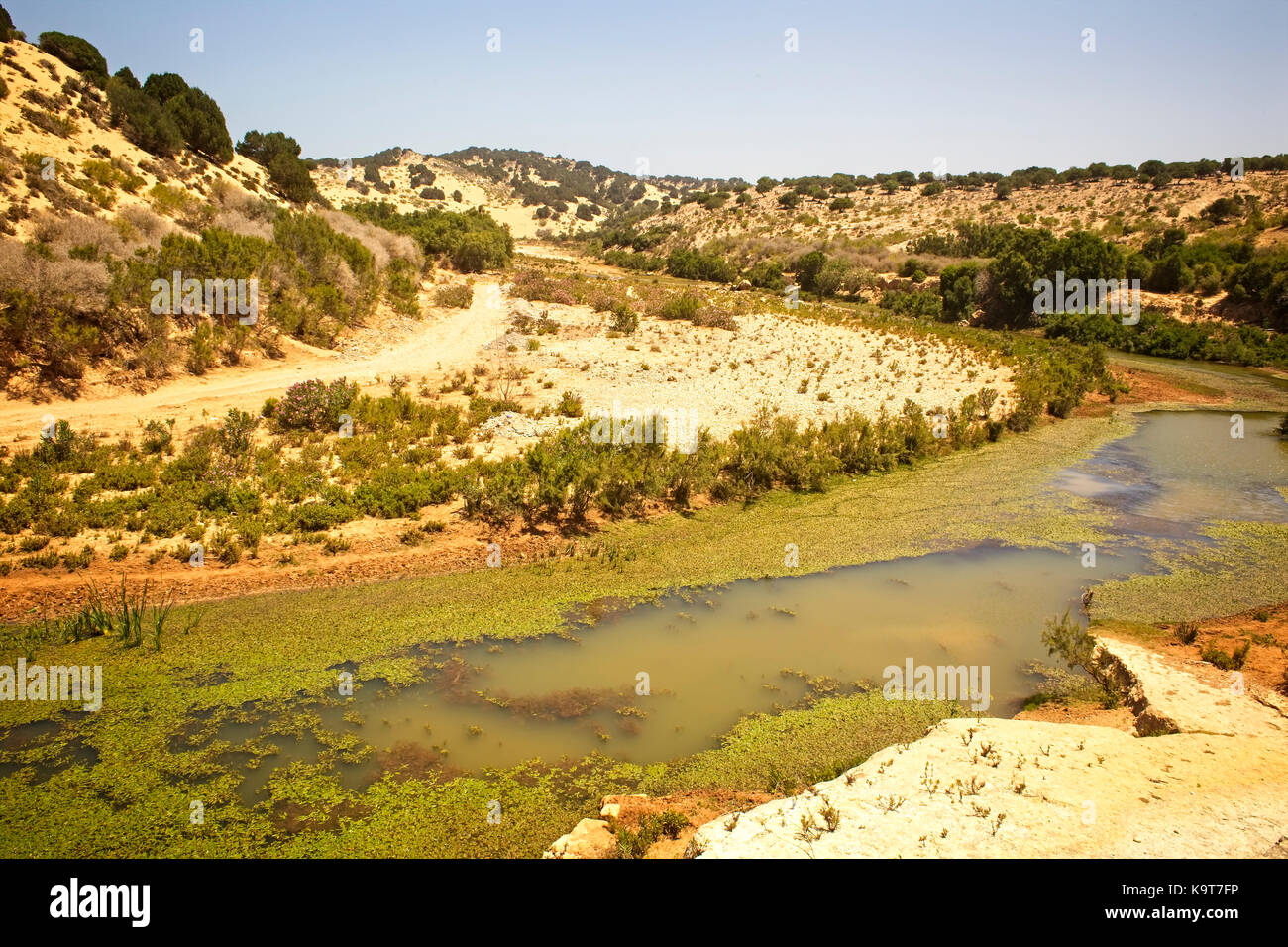 Lungo la valle del fiume vicino a Essaouira, Marocco. Foto Stock