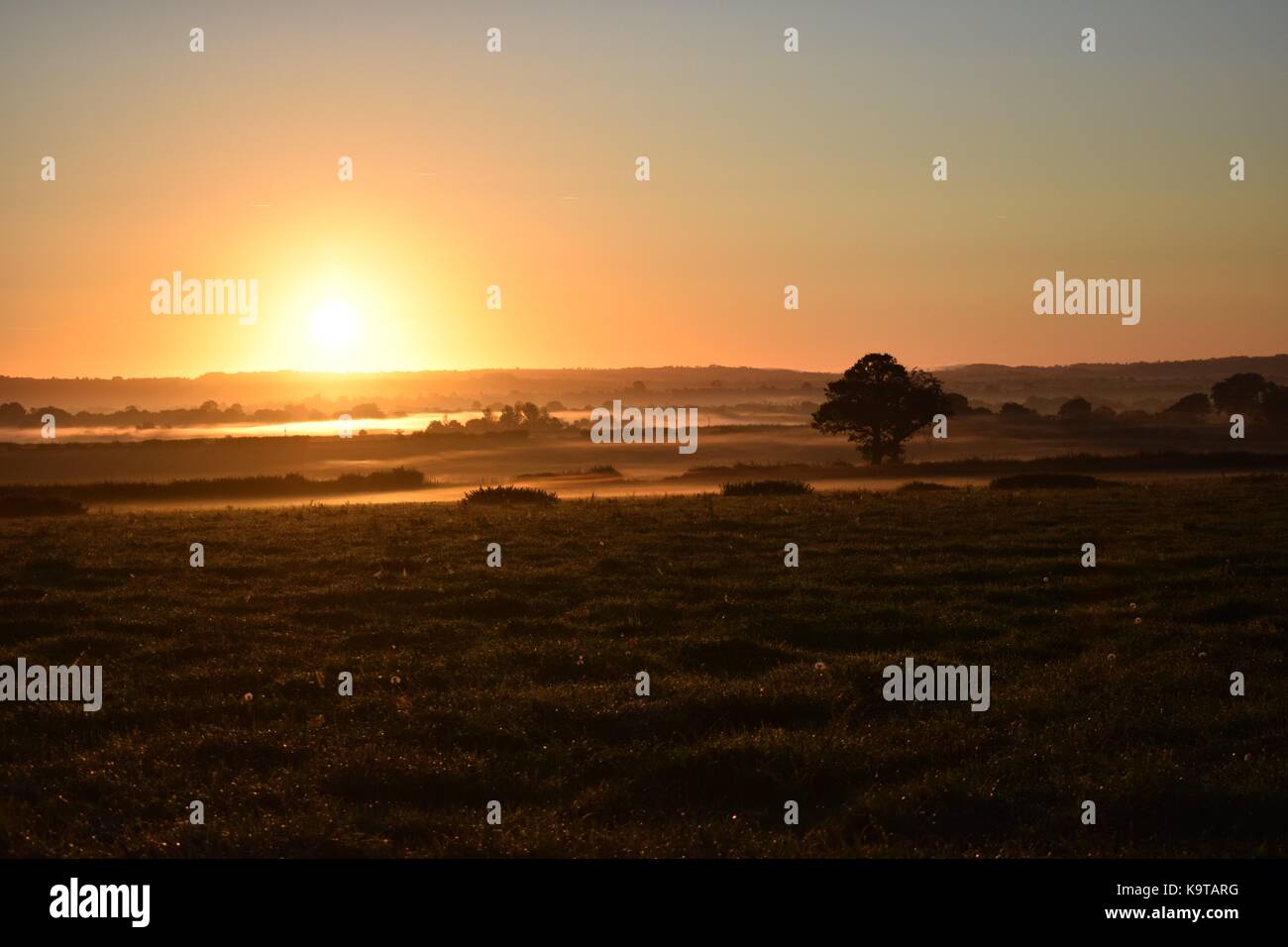 Sunrise oltre il Glastonbury mori nel Somerset REGNO UNITO con il basso livello della condensa sui campi e intorno agli alberi con raggi di sole splendenti attraverso. Foto Stock