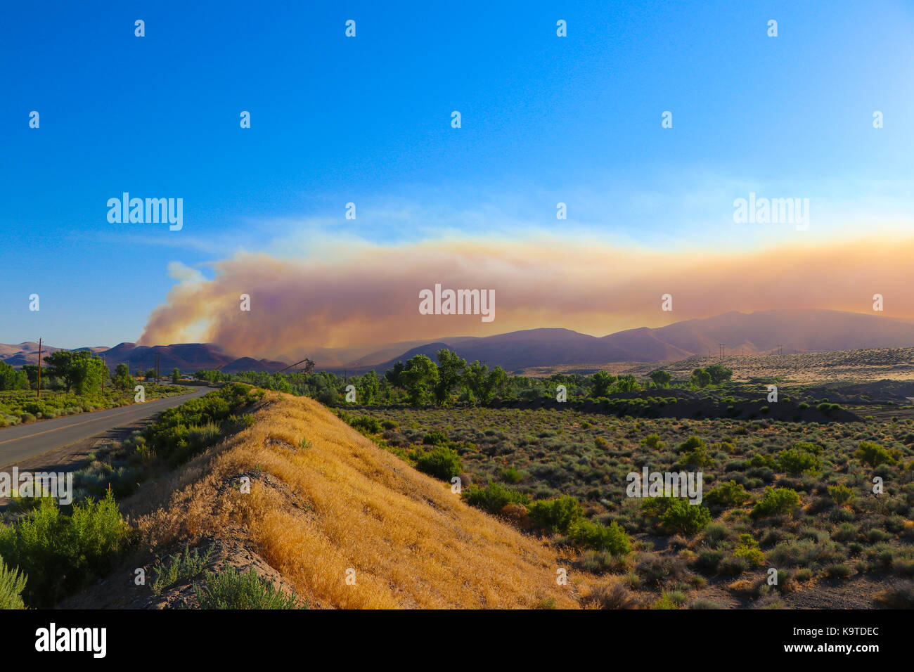 Mattina Wildfire Nevada Foto Stock