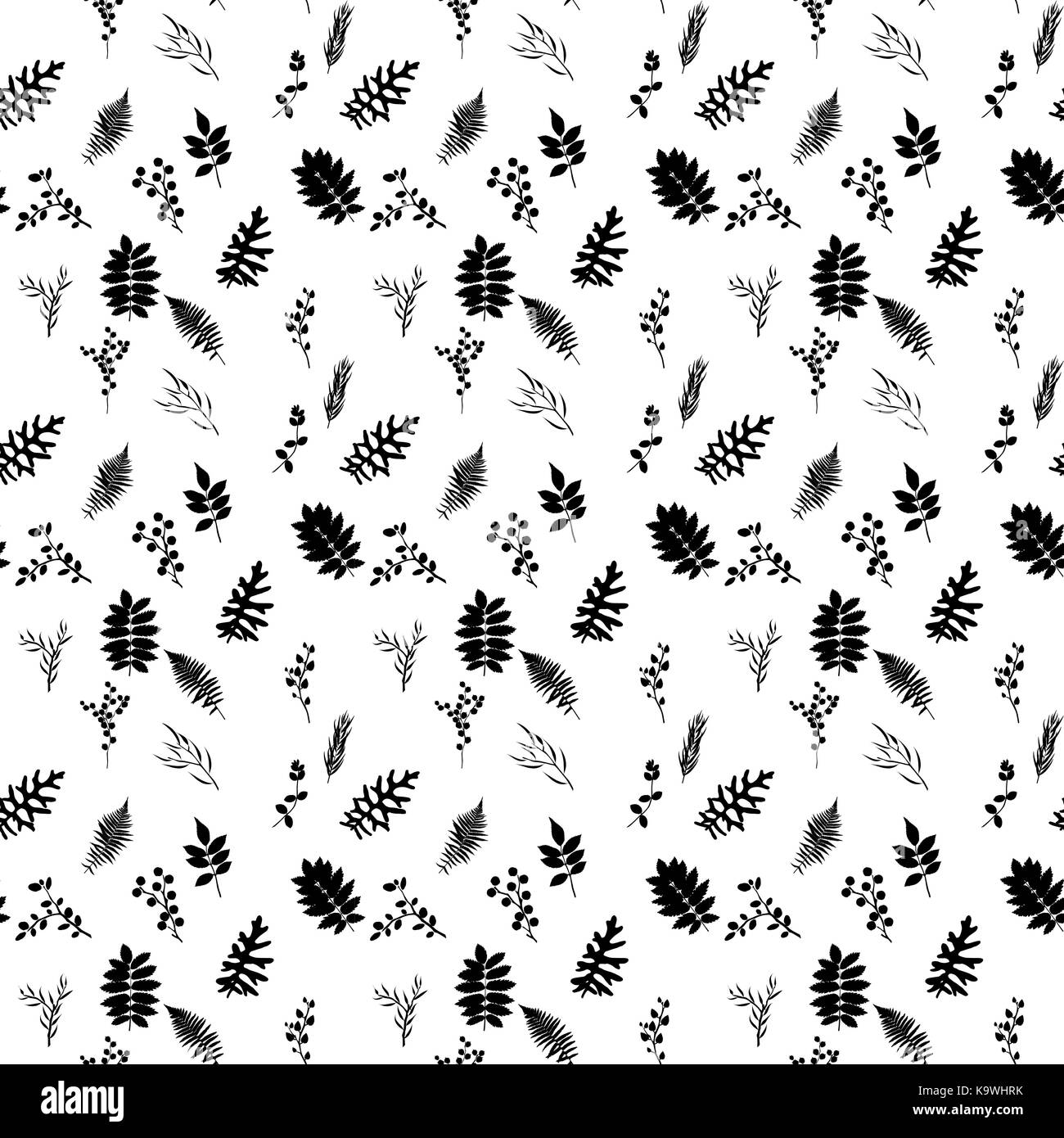 Elementi tropicali: agonis, eucalipto, annona, balata, zamiokulkas, cissus. seamless pattern. illustrazione vettoriale. Illustrazione Vettoriale