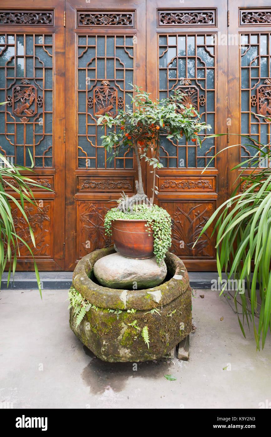 Bonsai di fronte a una porta di legno Foto Stock