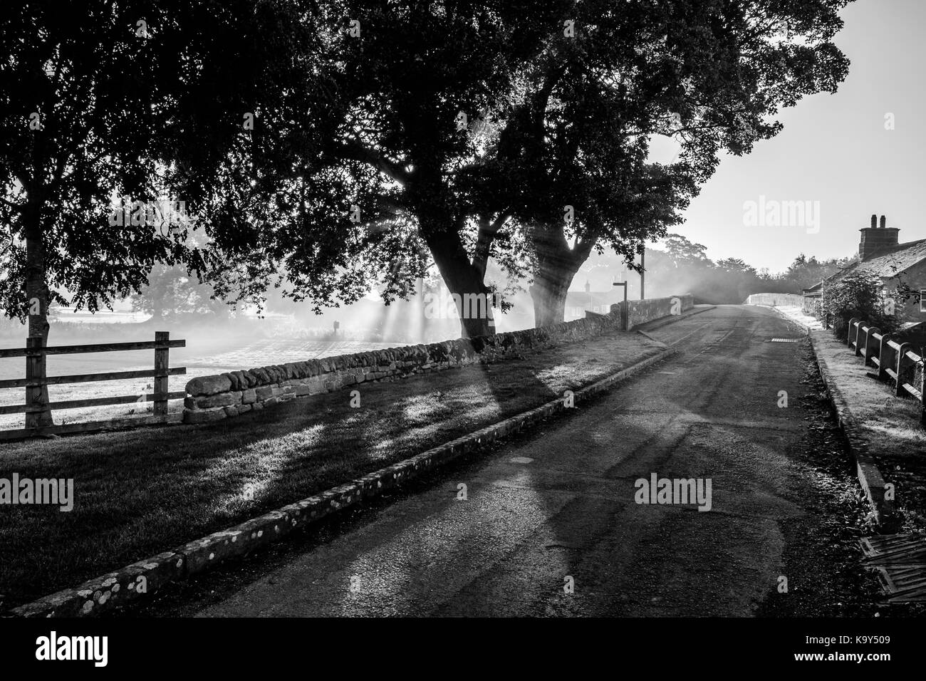 Incredibile nebbiosa mattina autunnale a Bolton ponte vicino a Bolton Abbey, North Yorkshire Foto Stock