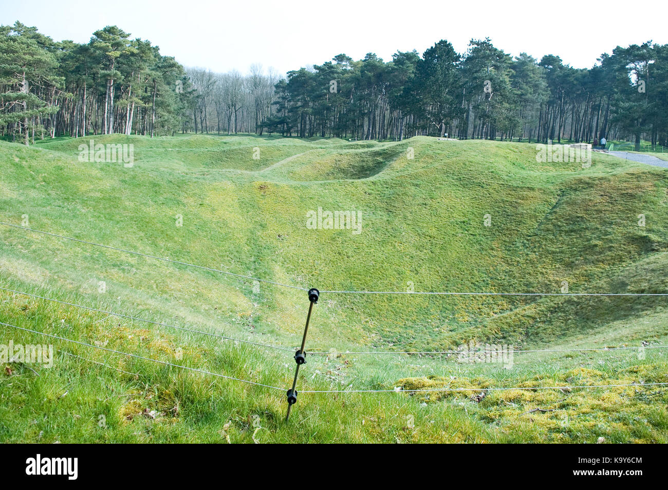 Vimy Ridge è una scarpata lunga 7 chilometri nel nord della Francia che si affaccia sulla pianura di Douai. Fu il luogo di una battaglia cruciale della prima guerra mondiale nel 1917 Foto Stock