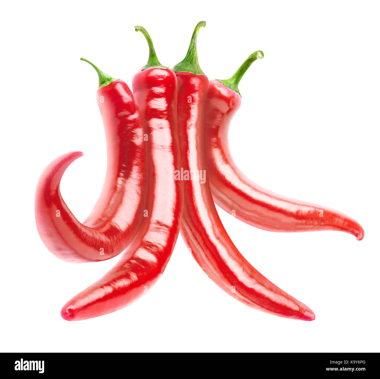 Isolate il peperoncino. mazzetto di peperoncini rossi isolato su sfondo bianco con tracciato di ritaglio Foto Stock