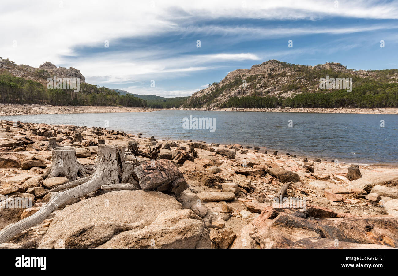 Vecchi tronchi di alberi tra le rocce e massi sulle rive del Lac de l'ospedale con alberi di pino e colline in background sotto i cieli blu Foto Stock