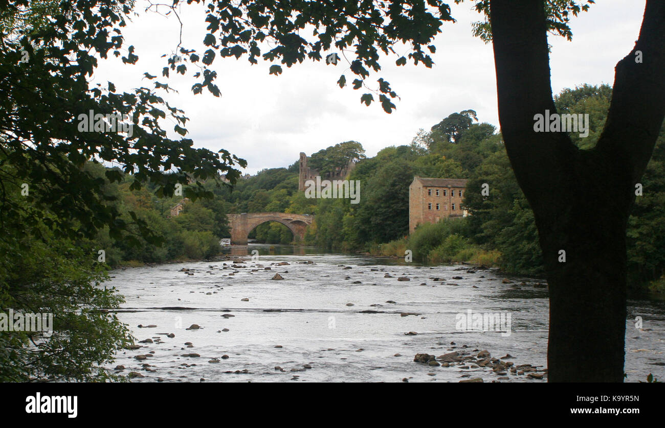 Barnard Castle Foto Stock