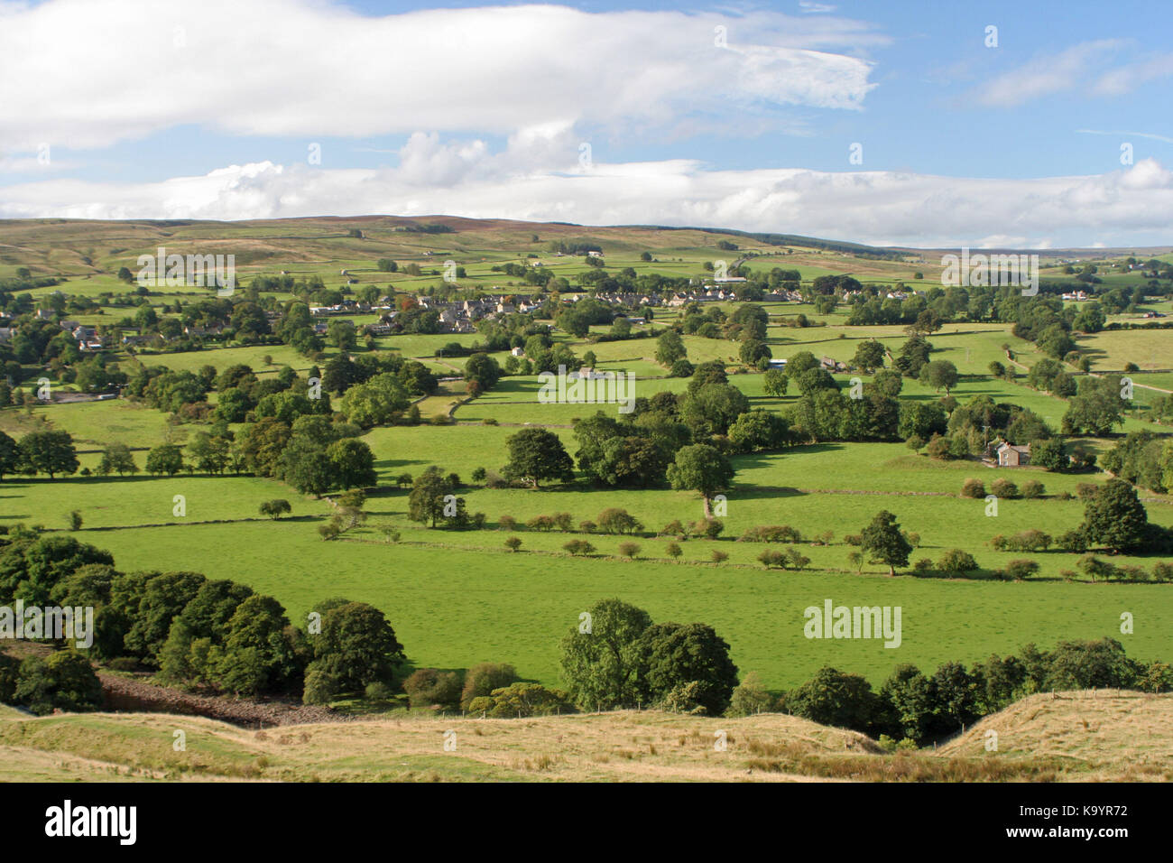 Scenario di teesdale Foto Stock