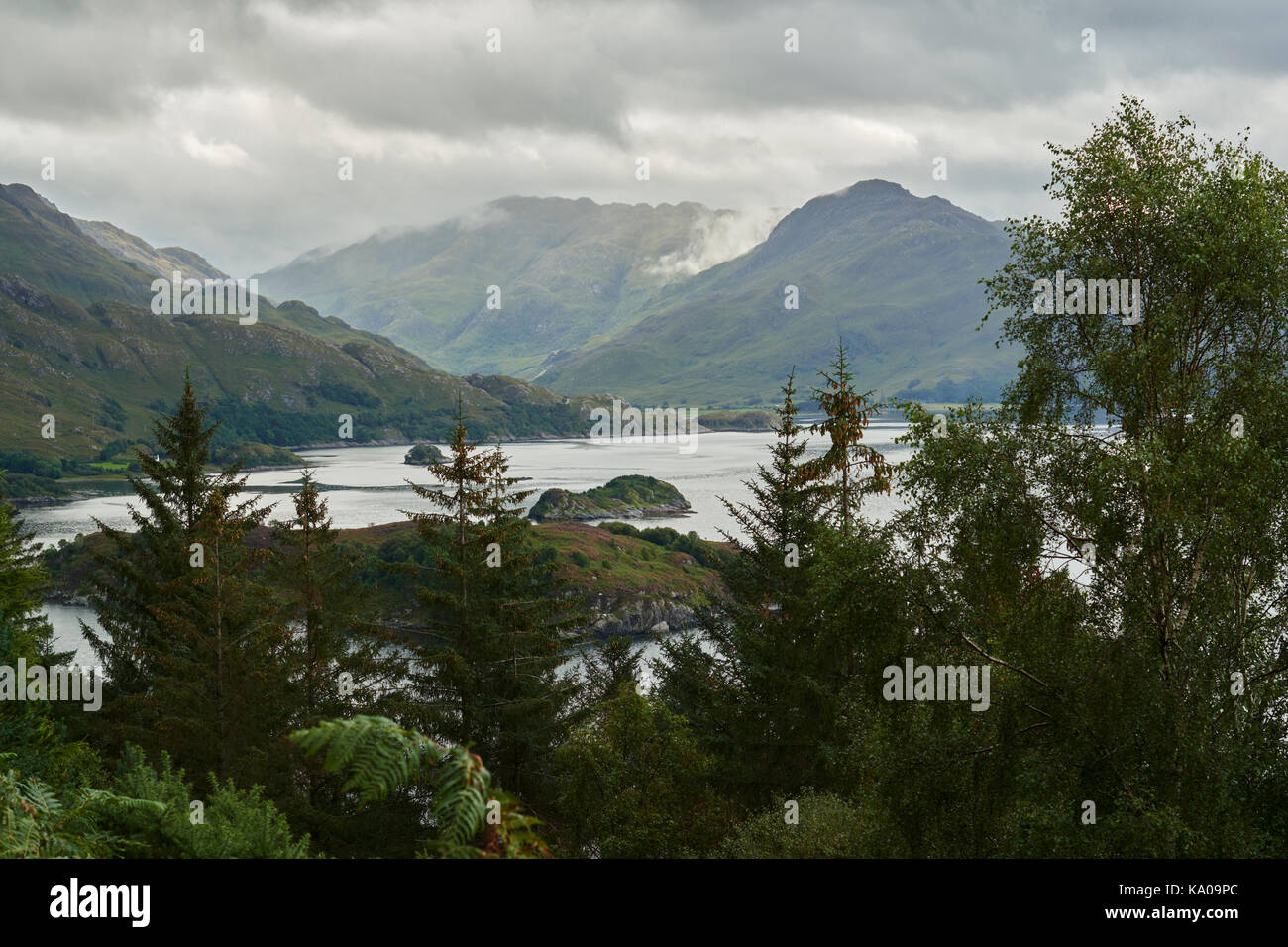 Loch duich da mam ratagan, Northwest highlands, Scotland, Regno Unito Foto Stock