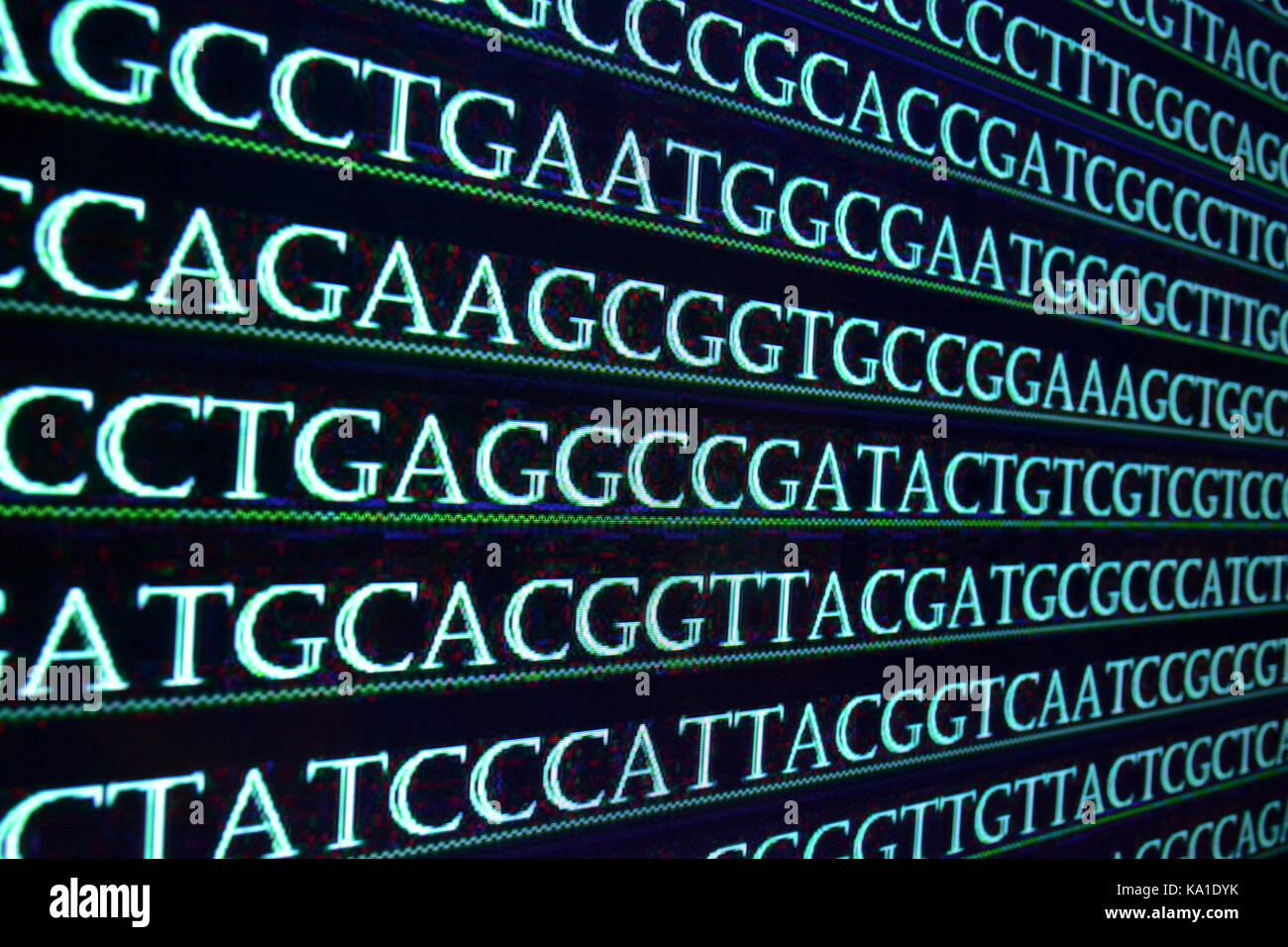 Moderno il sequenziamento del genoma. La sequenza di basi nucleotidiche in DNA, caratteri alfabetici. Foto Stock