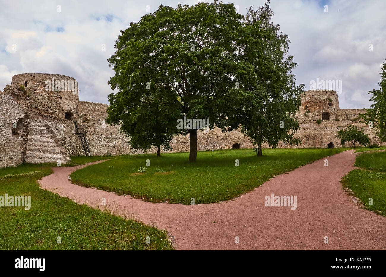 Un antico muro di fortificazione con torri di avvistamento. prima che il muro cresce un albero a foglie decidue con una corona circolare. russia, Pskov Regione Foto Stock