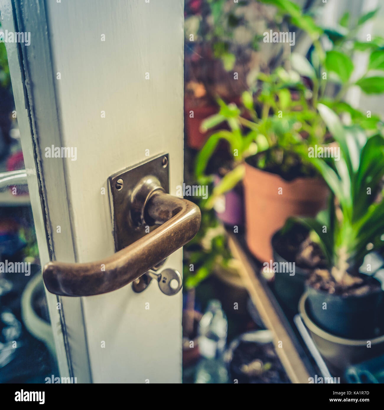 In stile retrò dettaglio di un'apertura di una porta in una bellissima serra o conservatorio Foto Stock