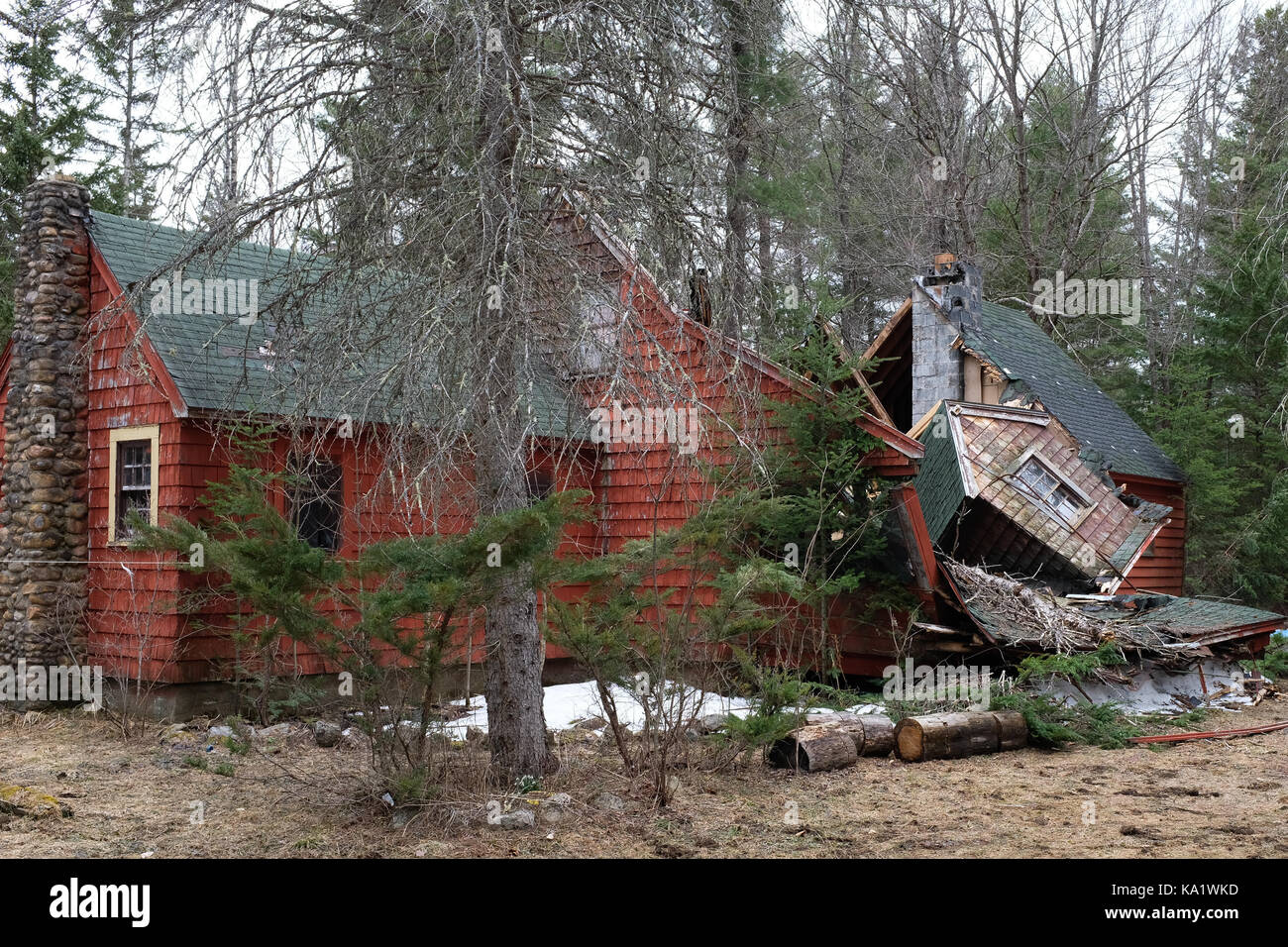 Vecchia casa nella foresta sta crollando in un cumulo di macerie. Foto Stock
