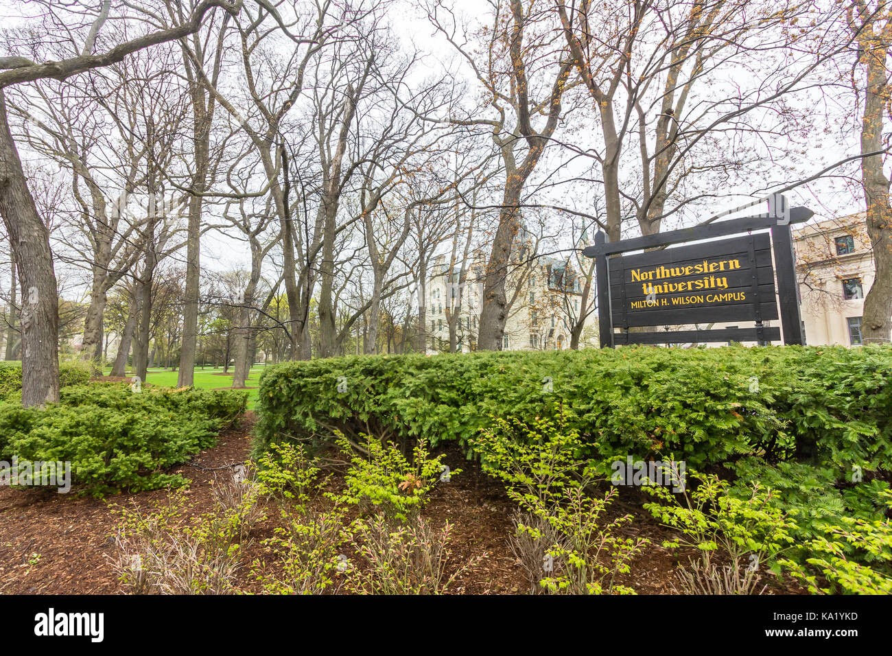 Deering Prato presso la Northwestern University a Evanston, Illinois. Foto Stock