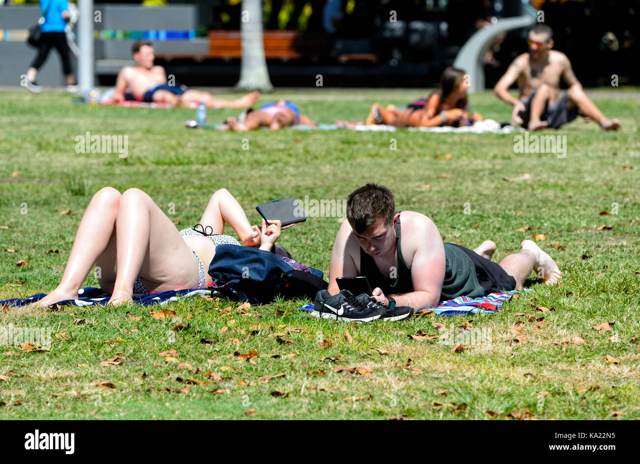 Giovane rilassante, dove poter prendere il sole e di lettura da compresse sull'erba sulla spianata, Cairns, estremo Nord Queensland, FNQ, QLD, Australia Foto Stock