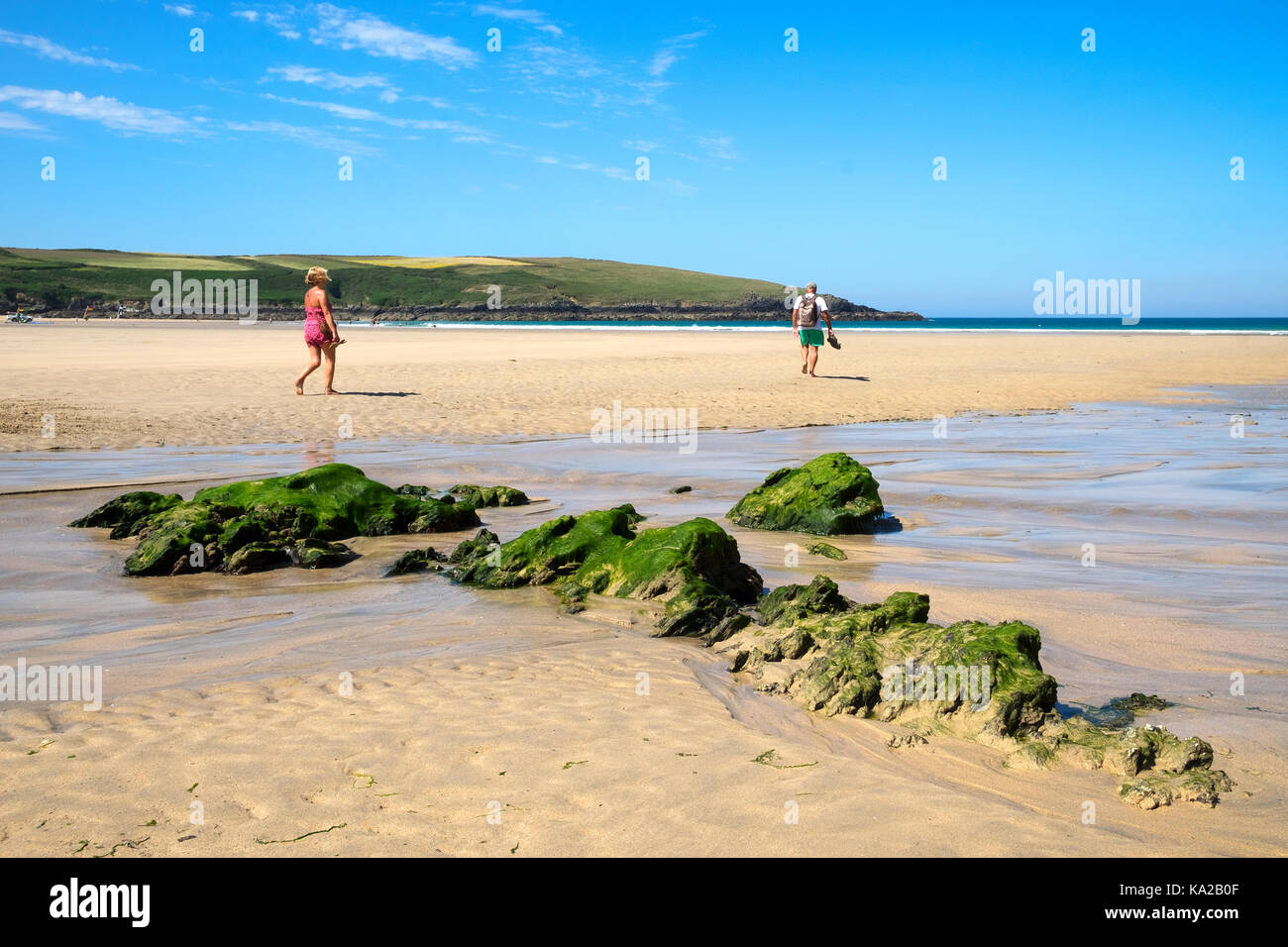 Estate a Crantock Beach, pentire, Cornwall, Inghilterra, Regno Unito, Foto Stock