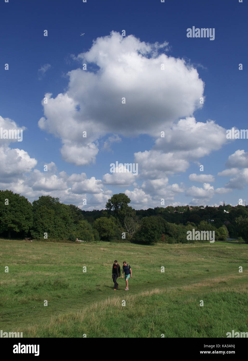 Vista su Hampstead Heath di Parliament Hill Foto Stock