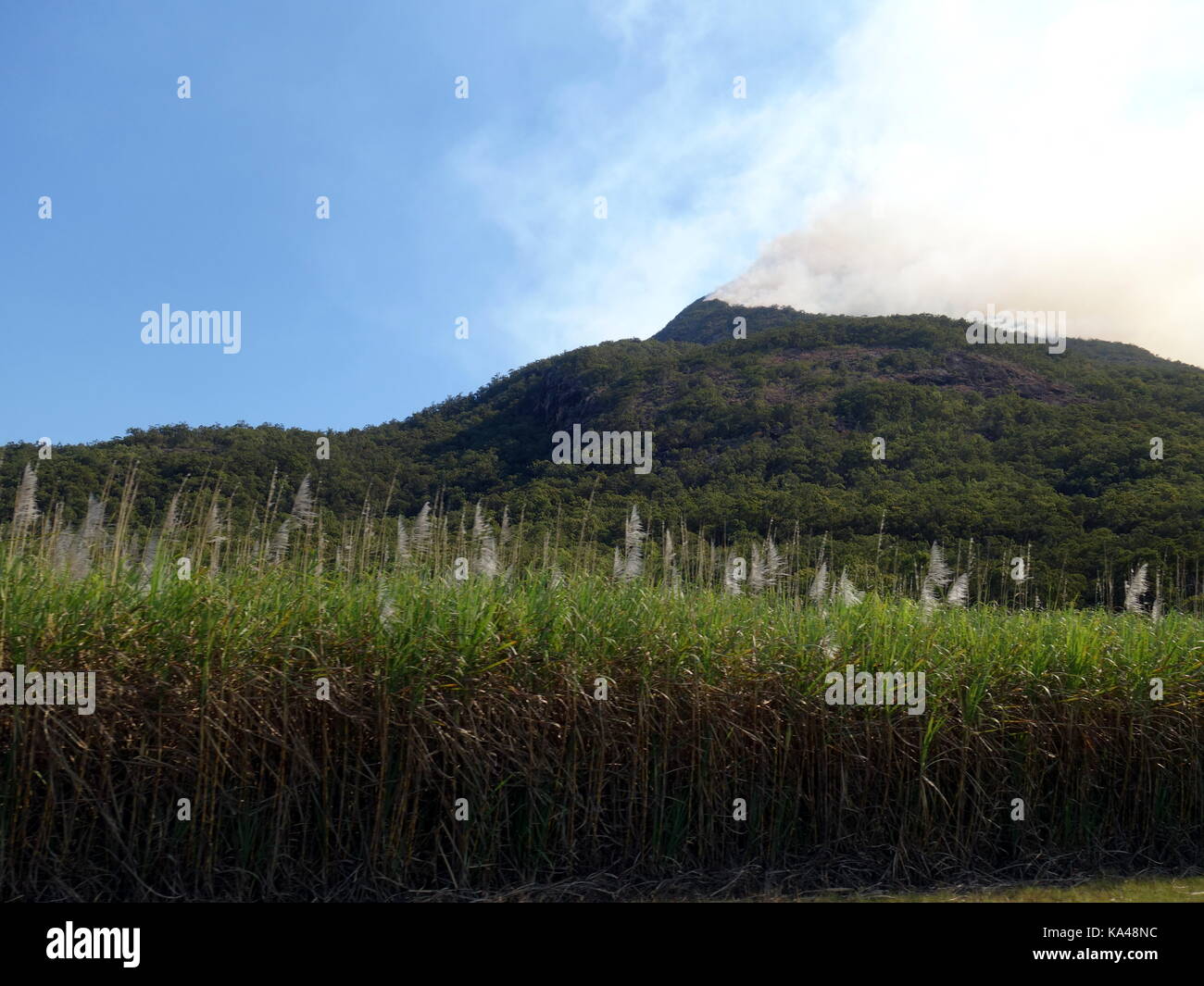 Un altopiano bush fire sopra i campi di zucchero di canna in Australia tropicale Foto Stock