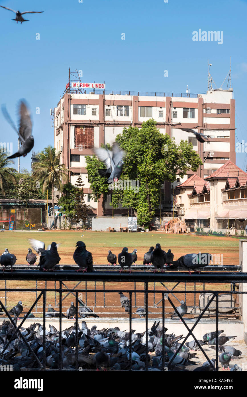 Marine Lines stazione, Mumbai, Maharashtra, India, Asia Foto Stock