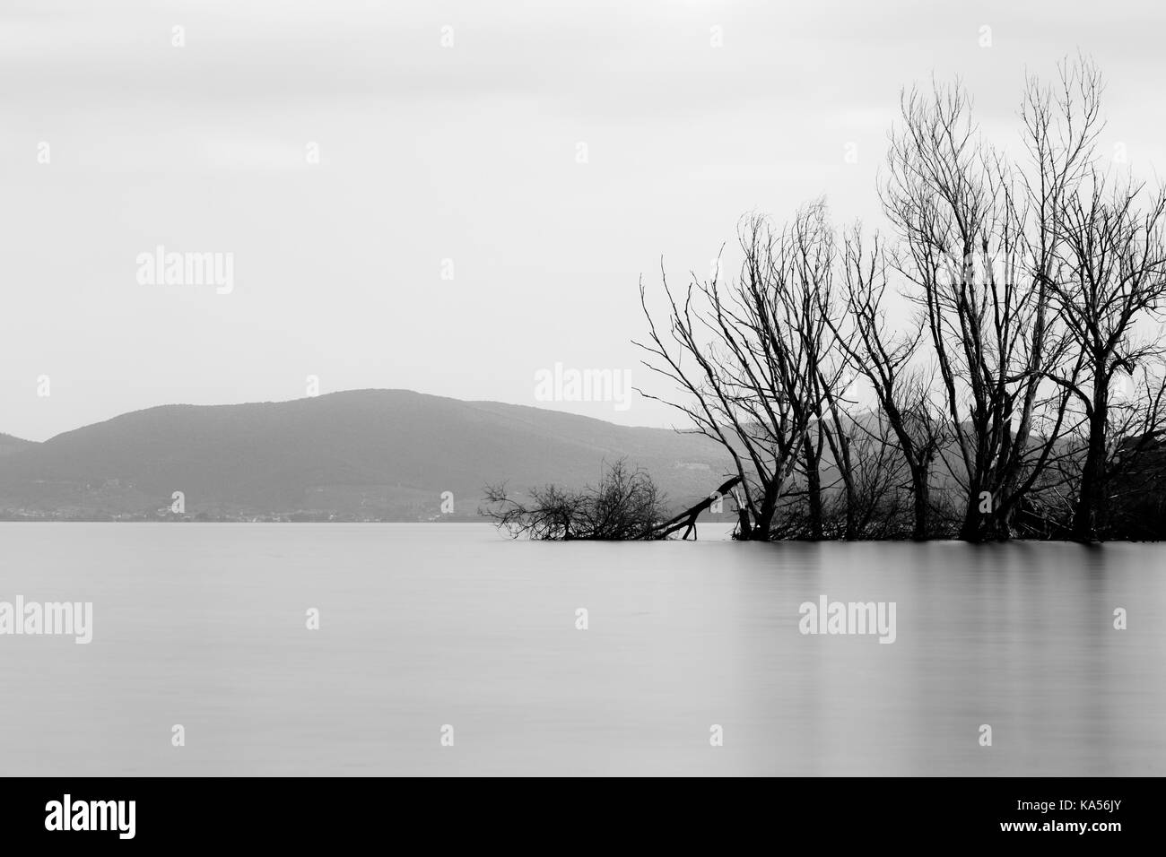 Una lunga esposizione vista di un lago, con perfettamente ancora acqua e alberi scheletrici Foto Stock