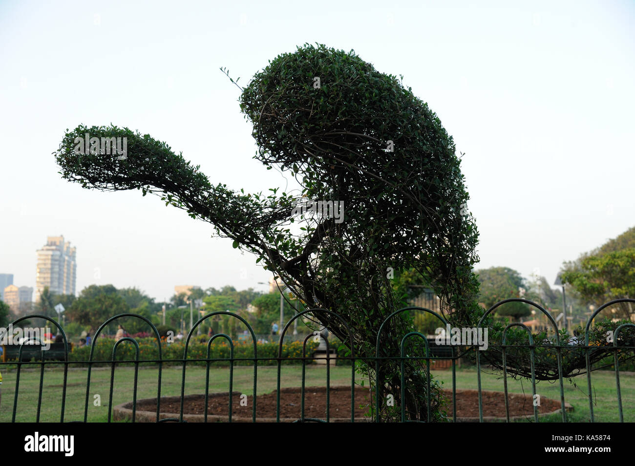 Monkey realizzato da erba verde giardino pensile, Mumbai, Maharashtra, India, Asia Foto Stock