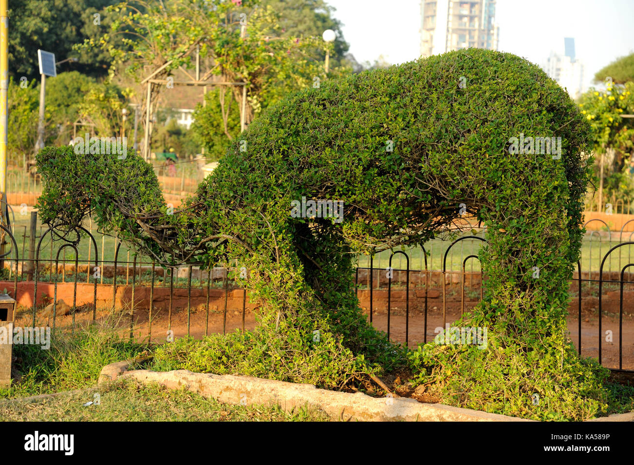 Hedge tagliato nella forma degli animali , giardino pensile malabar hill, Mumbai, Maharashtra, India, Asia - rmm 258745 Foto Stock